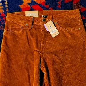 Patagonia NWT Corduroy Womans Pants